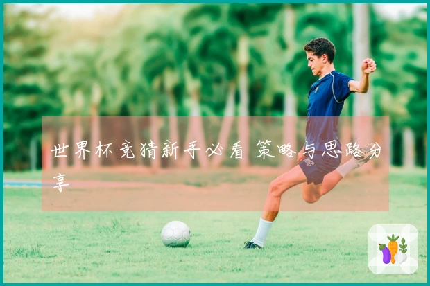 世界杯竞猜新手必看 策略与思路分享