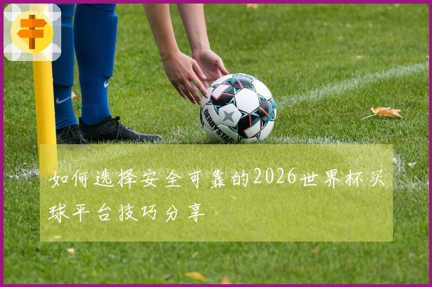 如何选择安全可靠的2026世界杯买球平台技巧分享