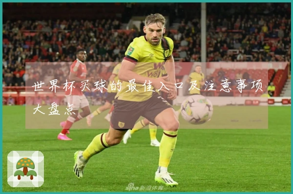 世界杯买球的最佳入口及注意事项大盘点