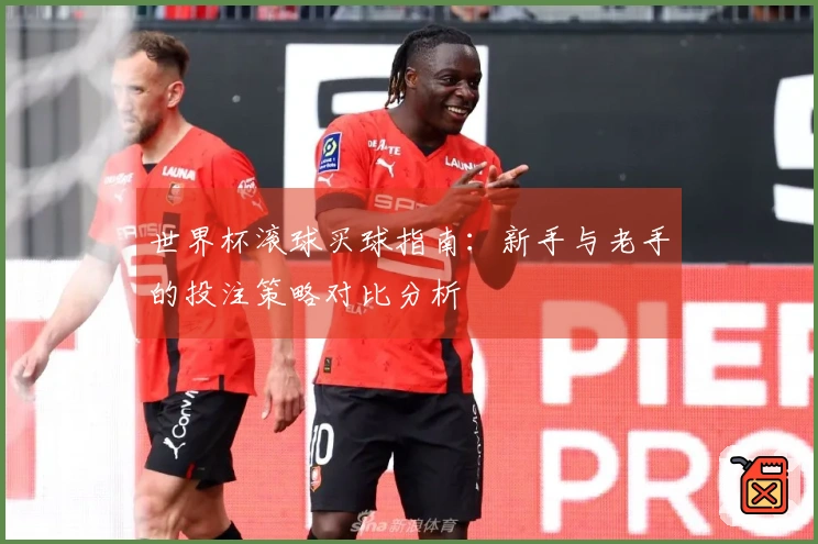 世界杯滚球买球指南：新手与老手的投注策略对比分析