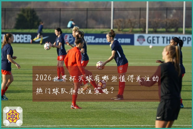 2026世界杯买球有哪些值得关注的热门球队和投注策略？