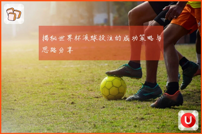 揭秘世界杯滚球投注的成功策略与思路分享