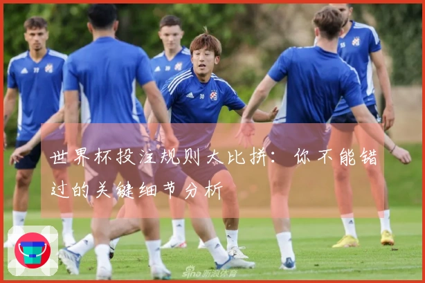 世界杯投注规则大比拼：你不能错过的关键细节分析