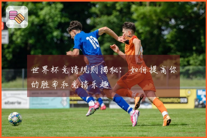 世界杯竞猜规则揭秘：如何提高你的胜率和竞猜乐趣
