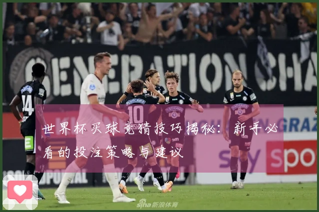 世界杯买球竞猜技巧揭秘：新手必看的投注策略与建议
