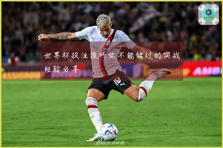 世界杯投注技巧你不能错过的实战经验分享