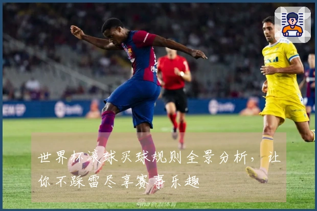 世界杯滚球买球规则全景分析，让你不踩雷尽享赛事乐趣