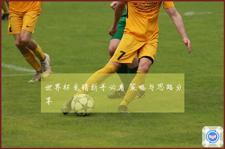 世界杯竞猜新手必看 策略与思路分享