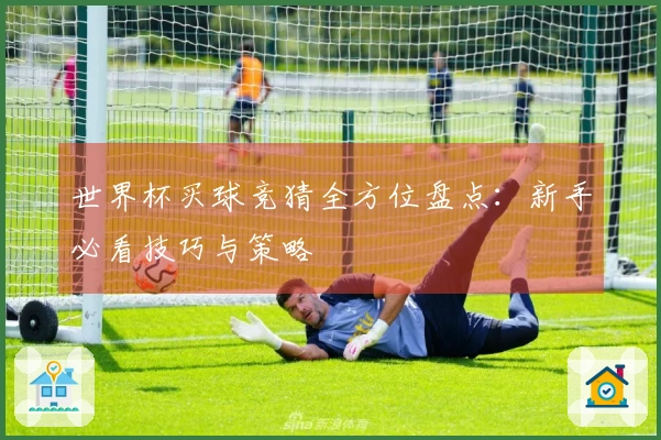 世界杯买球竞猜全方位盘点：新手必看技巧与策略