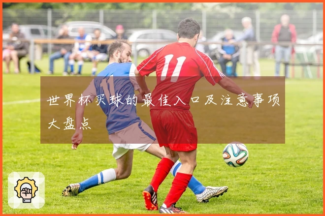 世界杯买球的最佳入口及注意事项大盘点