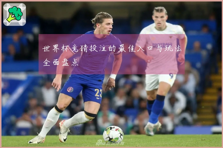 世界杯竞猜投注的最佳入口与玩法全面盘点