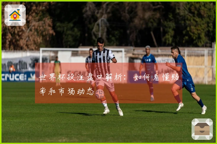 世界杯投注盘口解析：如何看懂赔率和市场动态