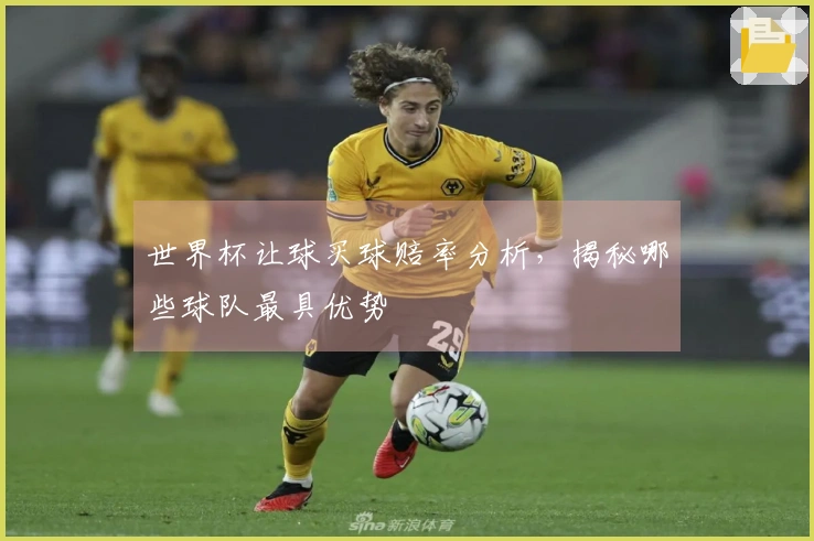 世界杯让球买球赔率分析，揭秘哪些球队最具优势