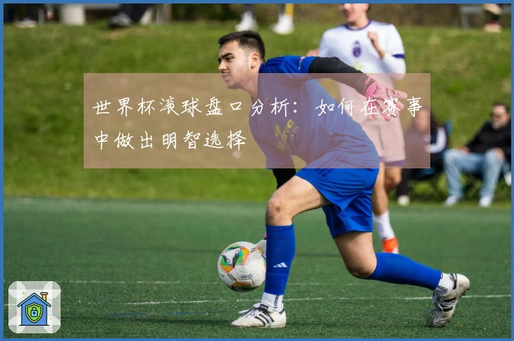 世界杯滚球盘口分析：如何在赛事中做出明智选择