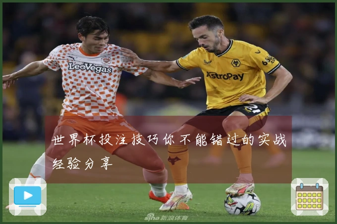 世界杯投注技巧你不能错过的实战经验分享
