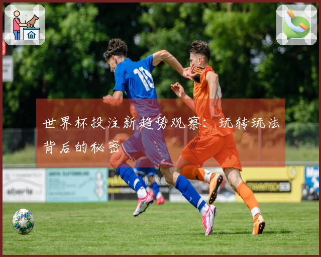 世界杯投注新趋势观察：玩转玩法背后的秘密